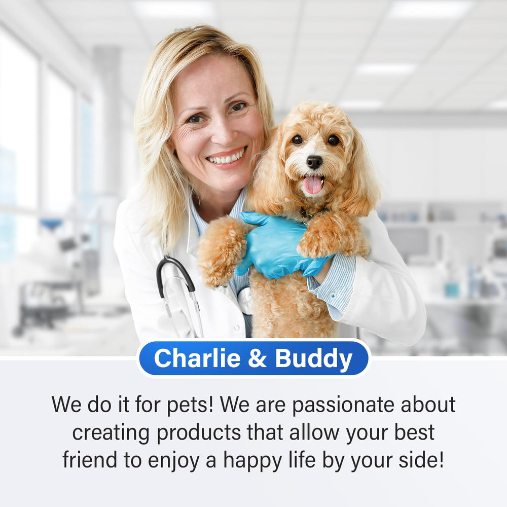 Charlie & Buddy dog enjoying chews and showing a brighter mood