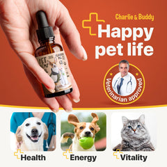 Charlie Buddy hemp oil cat bottle promotes calm behavior in pets.