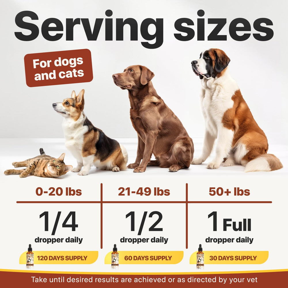 Charlie Buddy omega-3-6-9 ingredients highlight essential fatty acids.