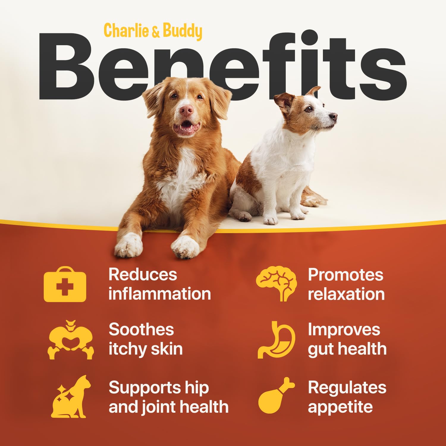 Charlie Buddy packaging and label showcases omega fatty acids and vitamins.