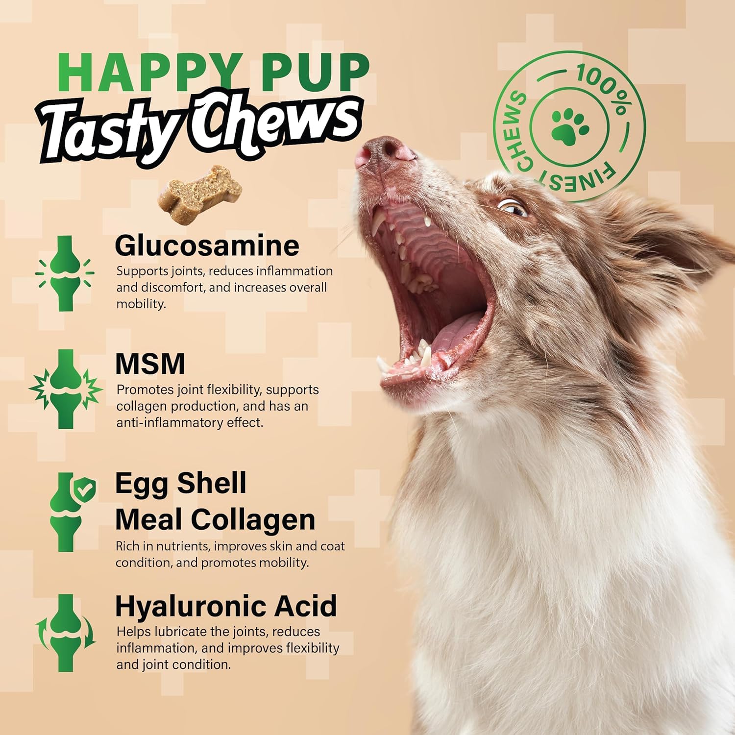 CHARLIE & BUDDY salmon oil MSM greenlip mussel blend showcases comprehensive joint formula.