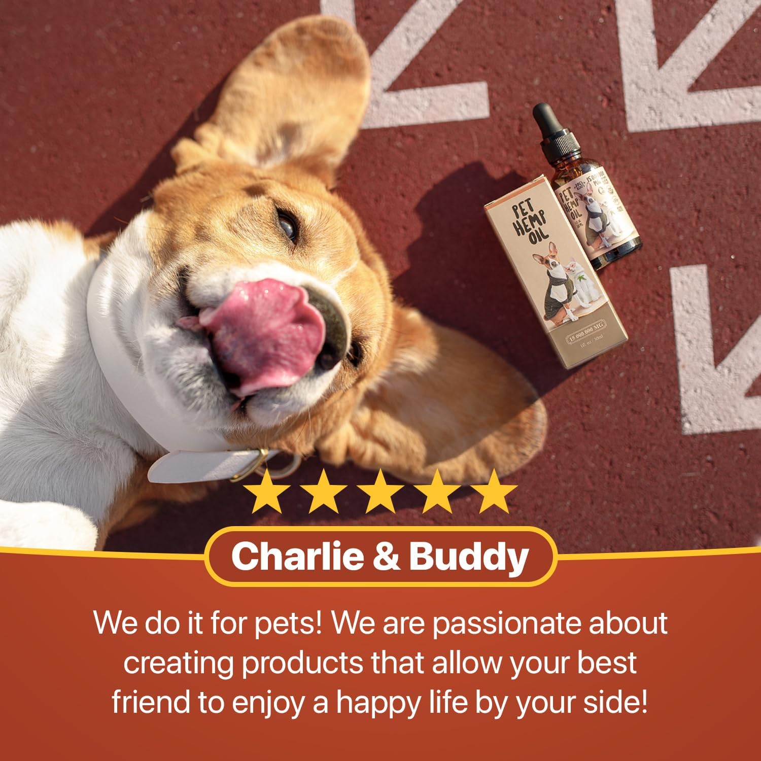 Charlie Buddy skin health closeup highlights pet coat improvement possibilities.