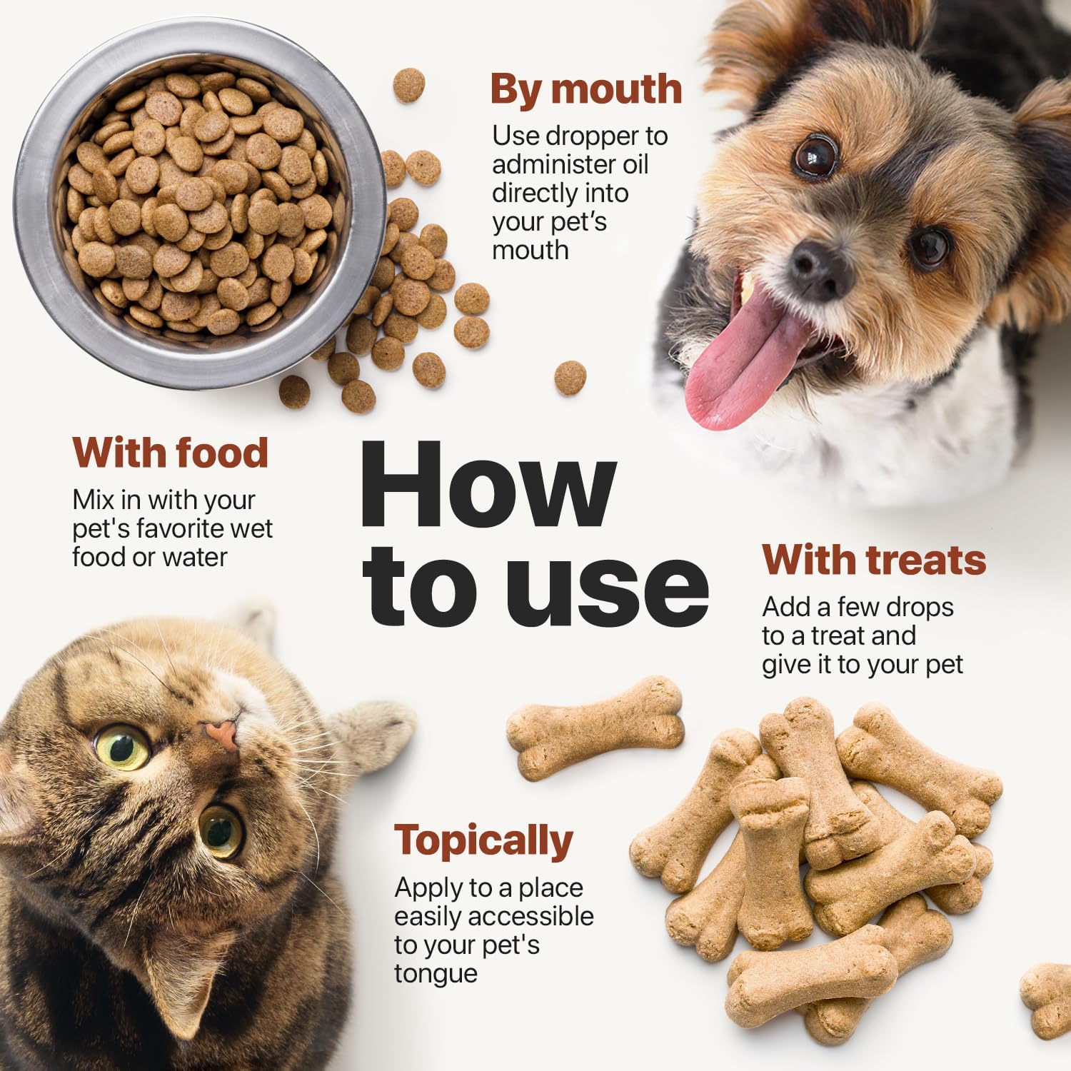 Charlie Buddy vitamins B C E supplement information featured.