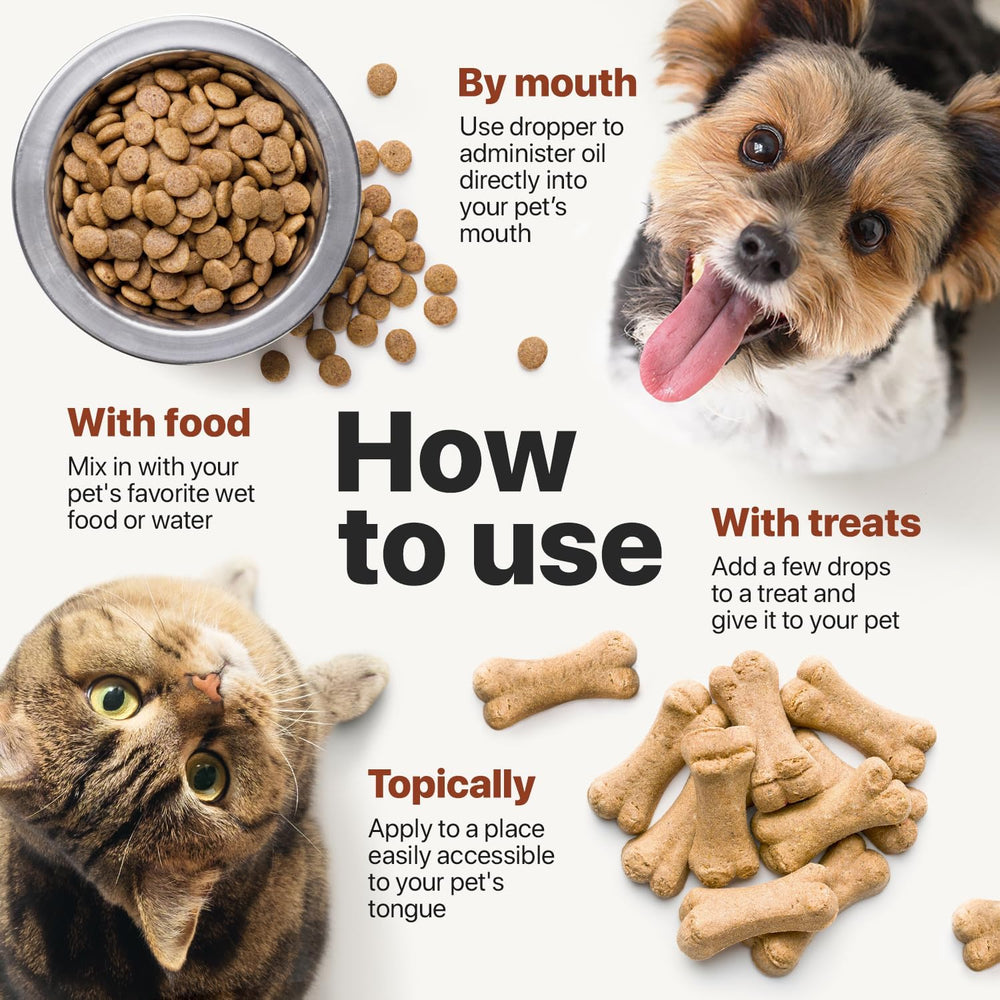 Charlie Buddy vitamins B C E supplement information featured.