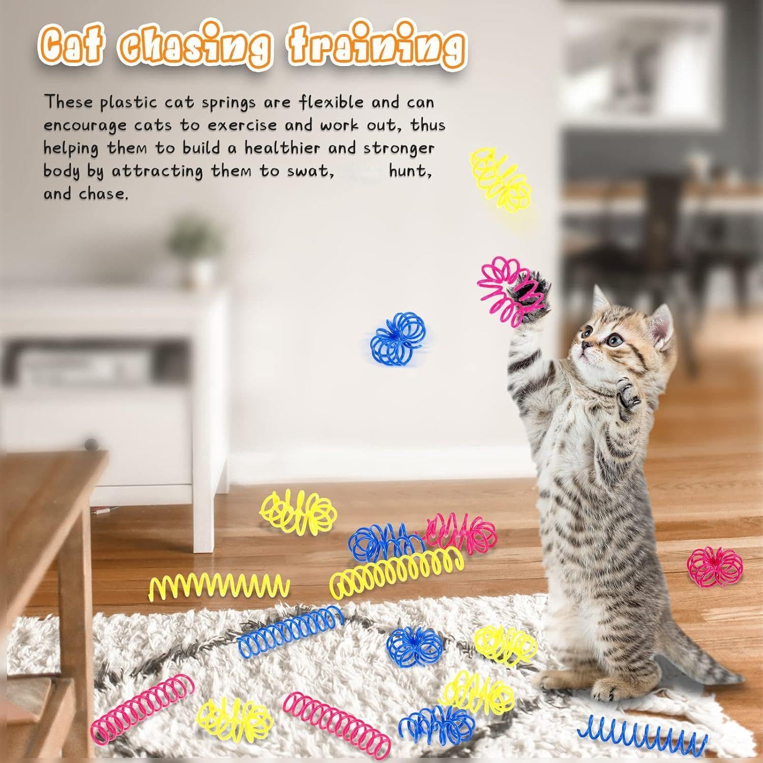 Charniol cat-spring-toy kitten-playing scene emphasizing swat and hunt engagement.