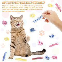 Charniol cat-spring-toy multi-color variation showcasing energy-burning play.