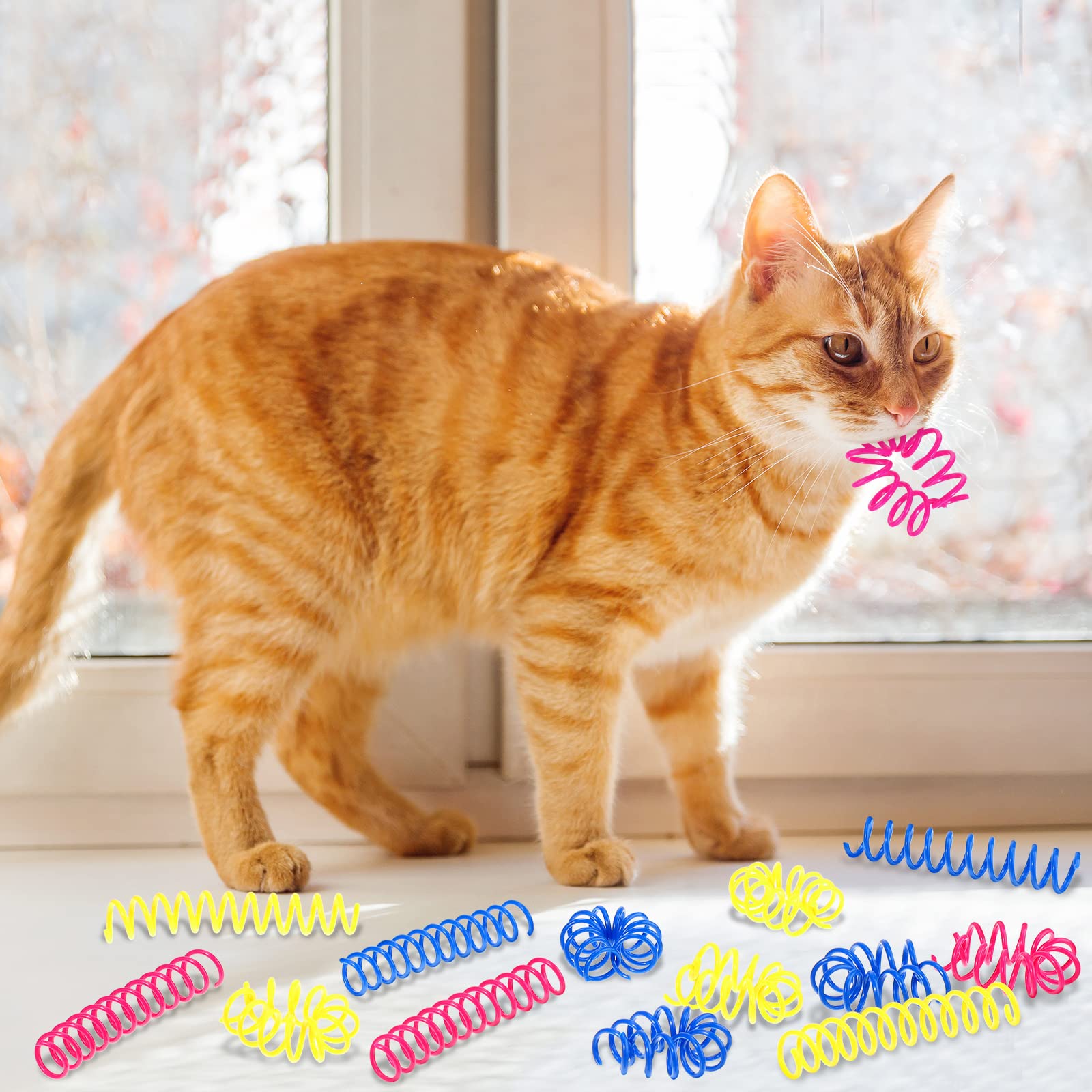 Charniol cat-spring-toy pink-action shot highlighting chase and exercise.