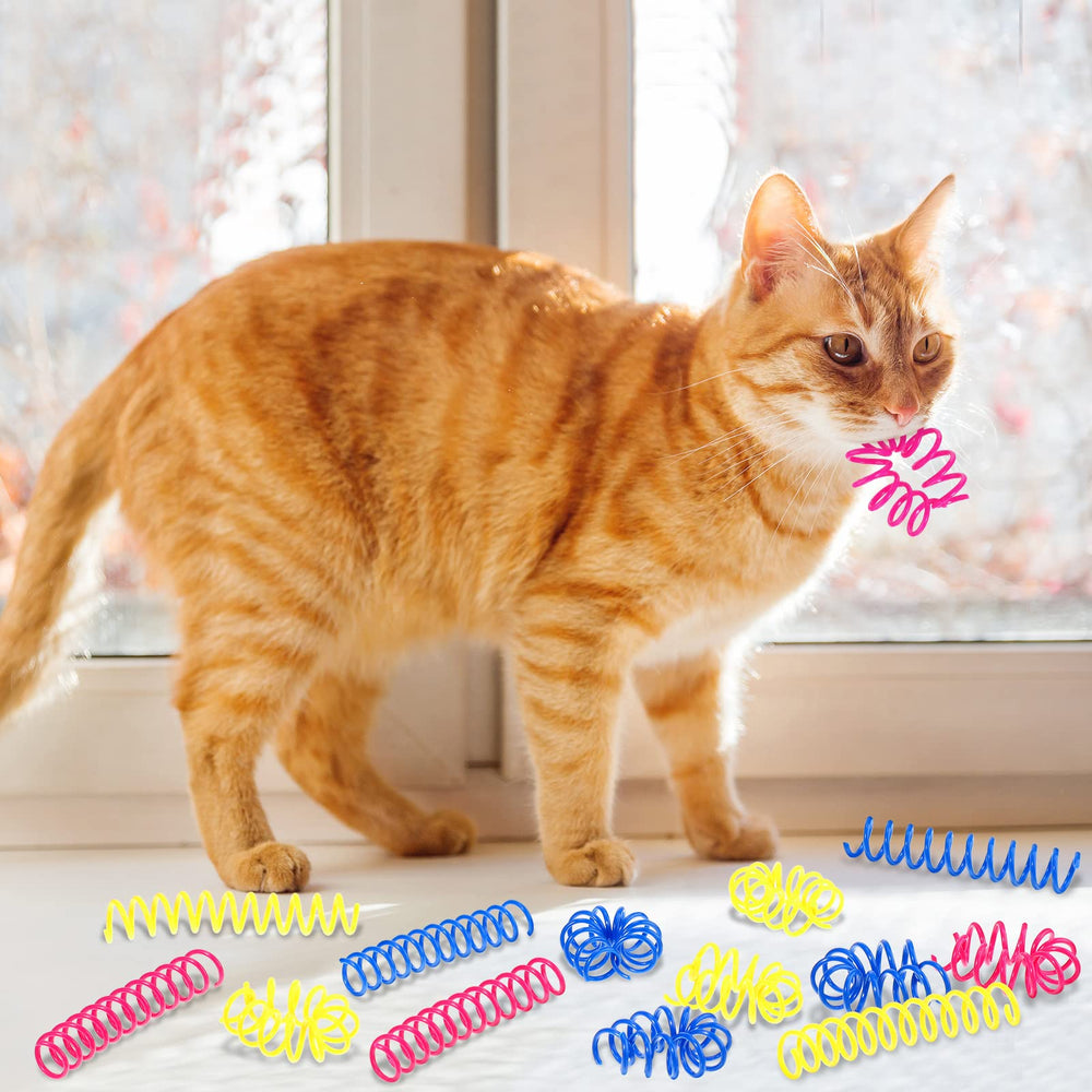 Charniol cat-spring-toy pink-action shot highlighting chase and exercise.
