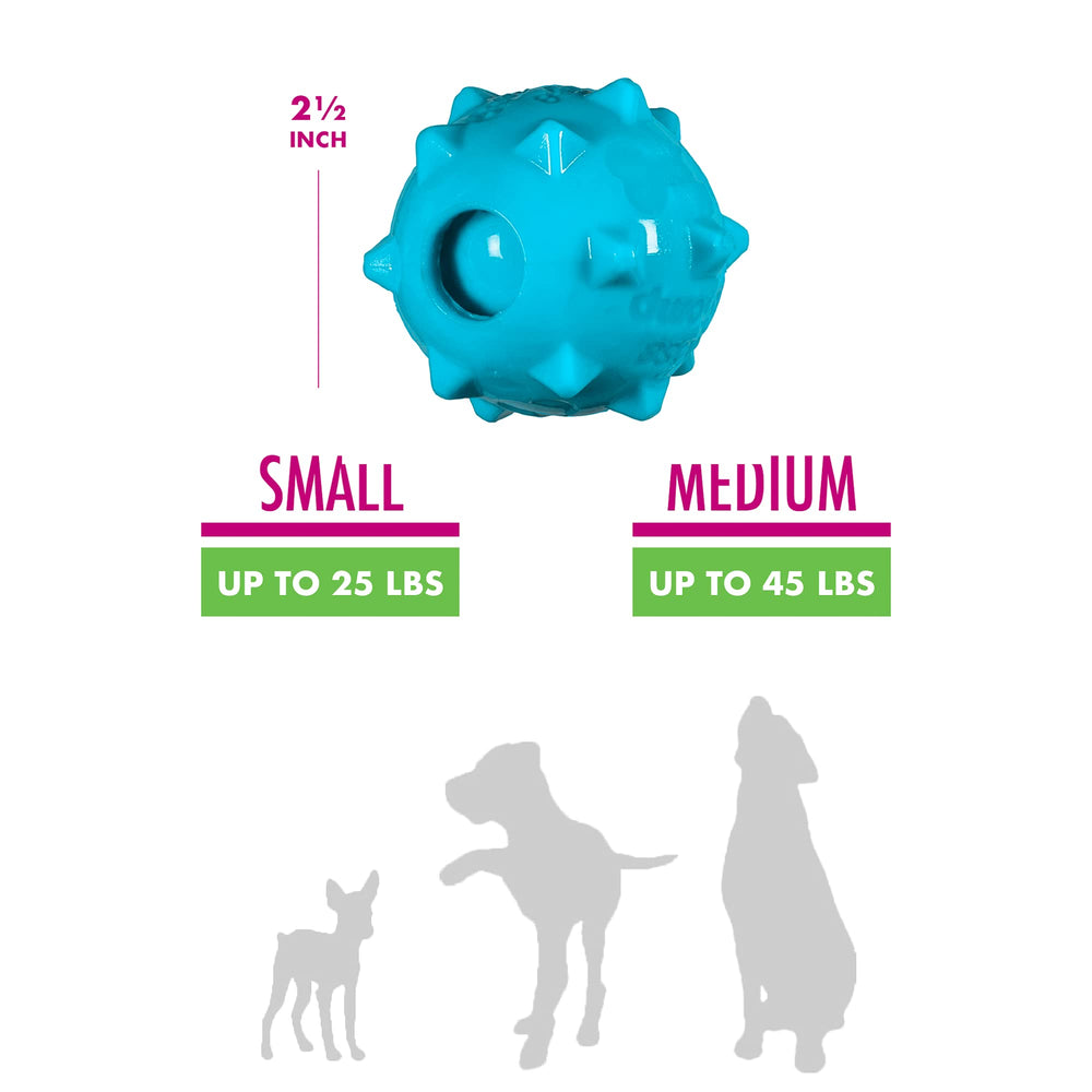 Chase 'n Chomp ball bounce-action texture promotes active chasing
