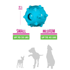 Chase 'n Chomp ball bounce-action texture promotes active chasing