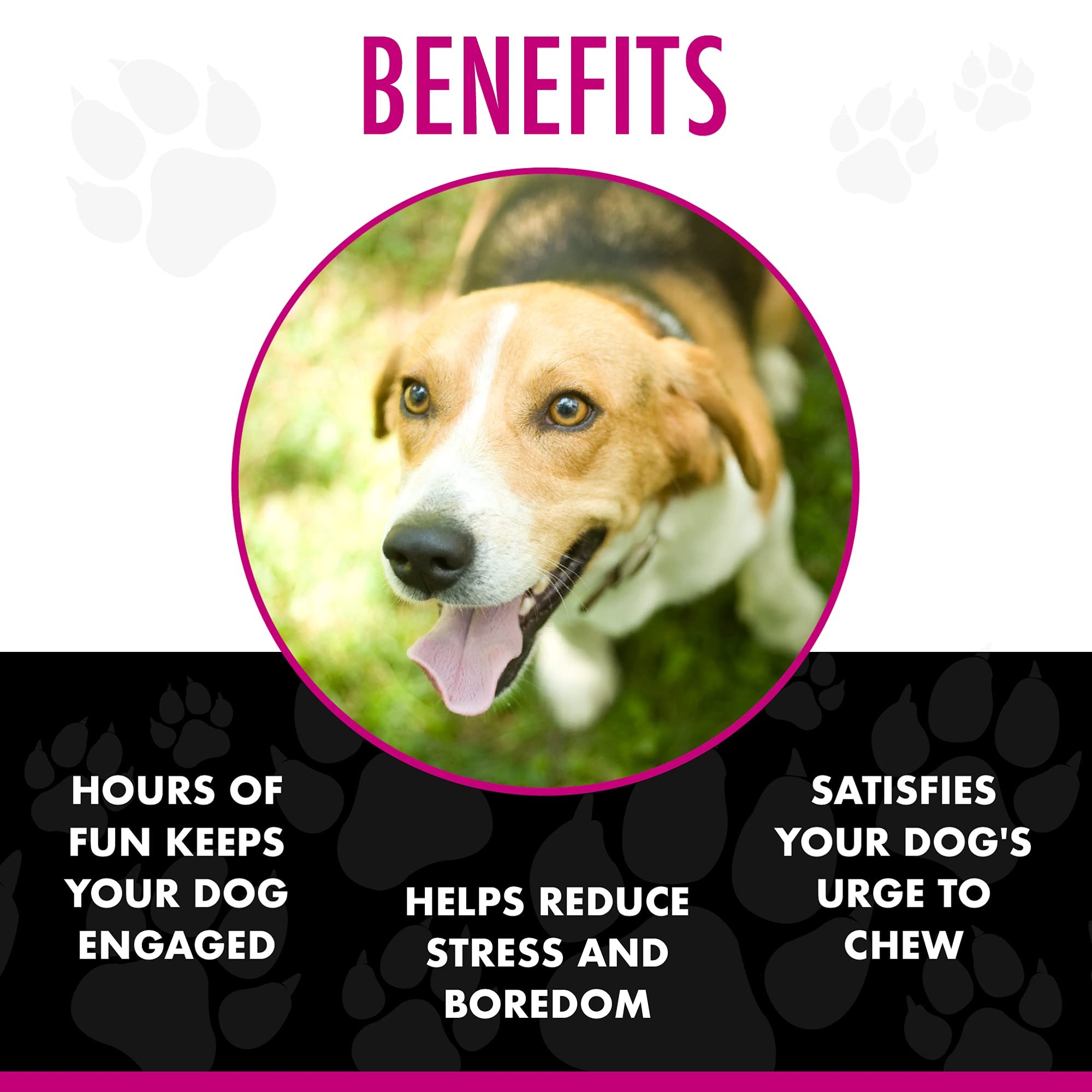 Chase 'n Chomp ball sized for small dogs improves playtime sessions
