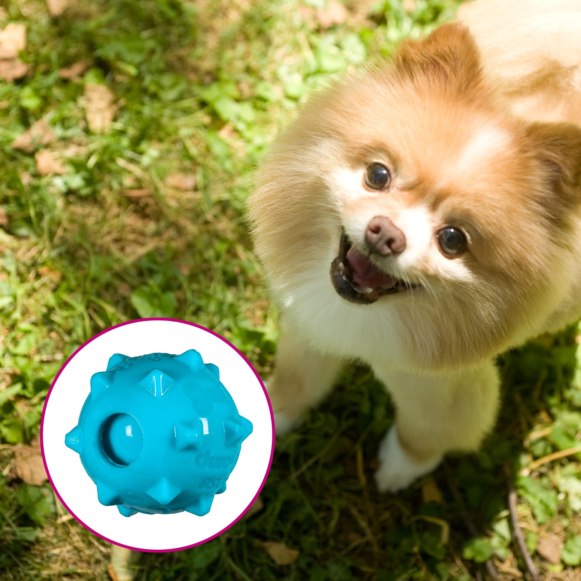 Chase 'n Chomp squeaker-ball textured outer boosts engagement during fetch