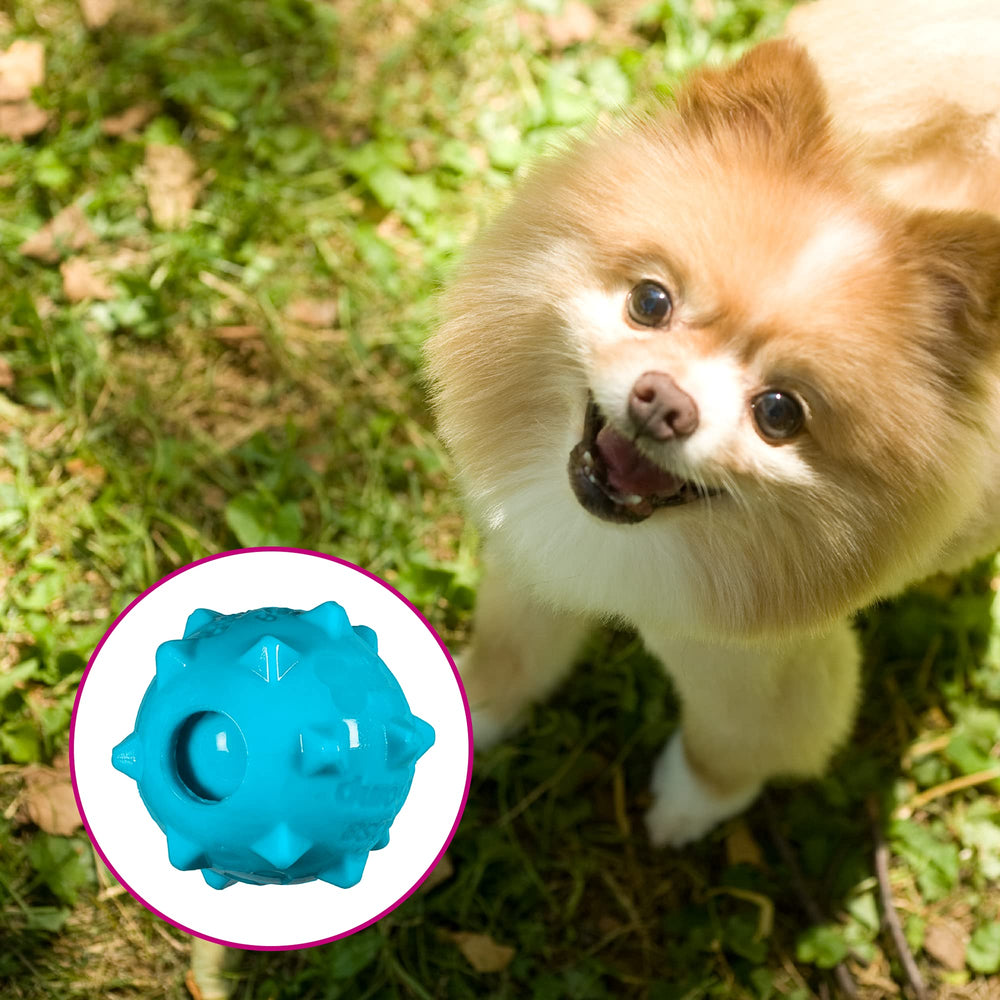 Chase 'n Chomp squeaker-ball textured outer boosts engagement during fetch