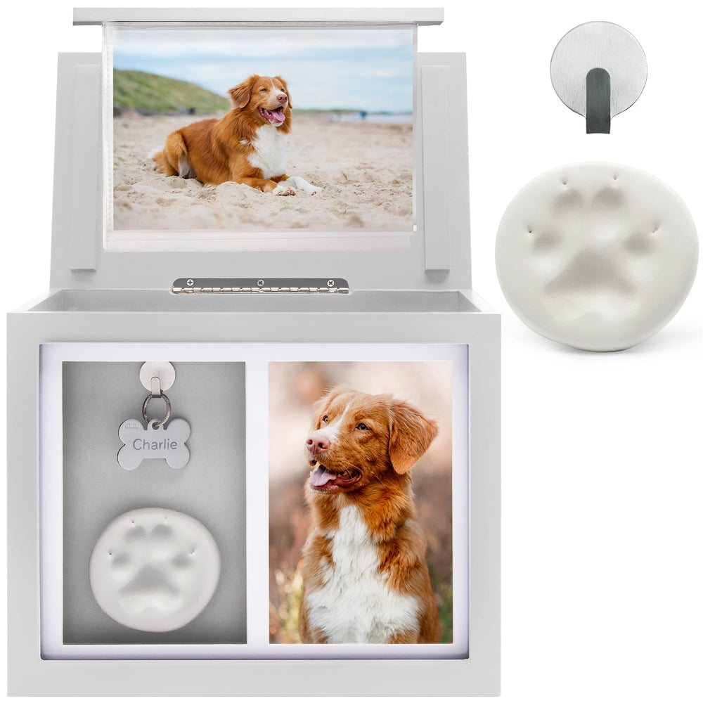 Chasing Tails dog urn front view with glass protection for a timeless memorial