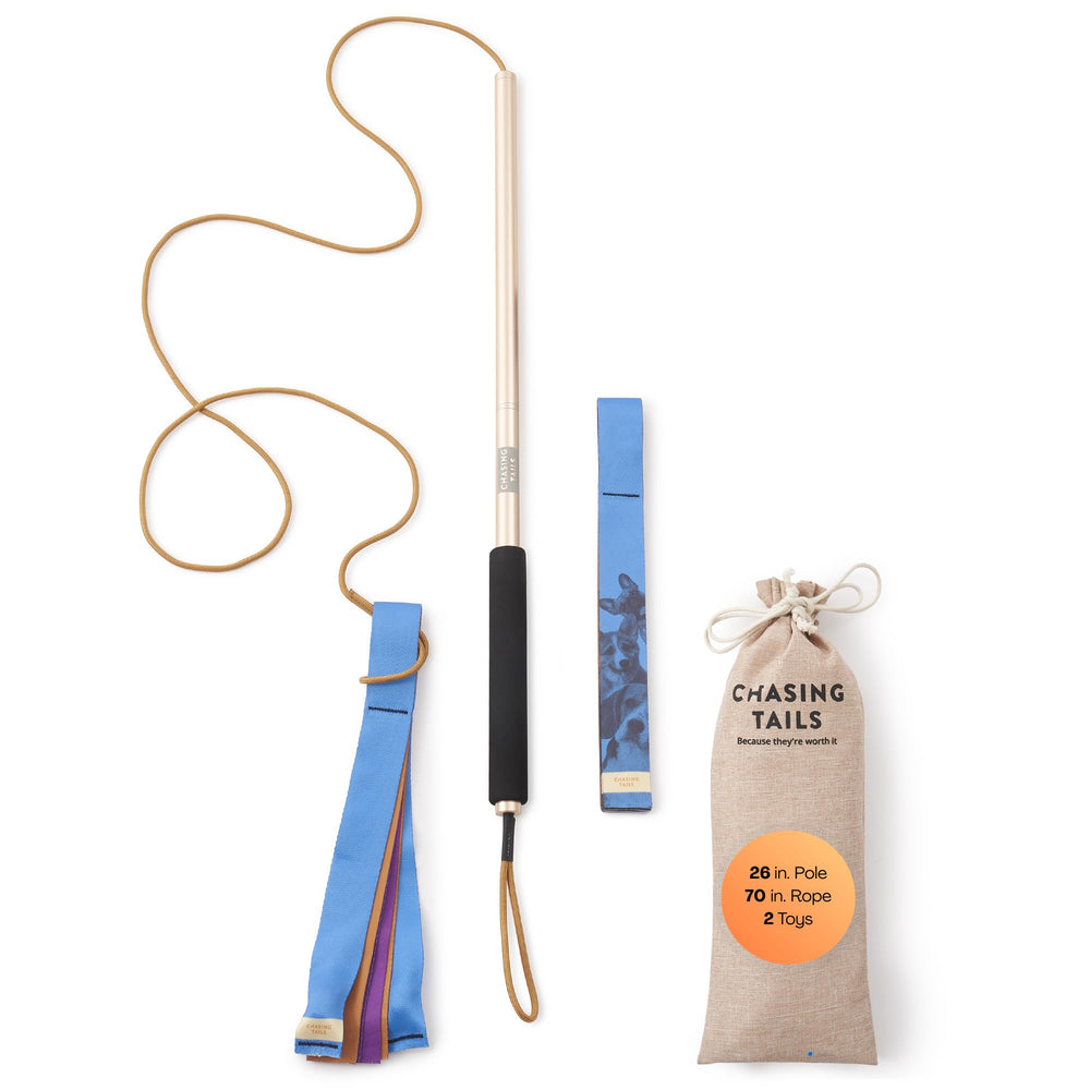 Chasing Tails flirt pole 26-inch durable aluminum shaft for active small dogs.