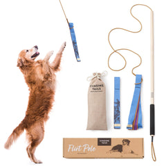 Chasing Tails Flirt Pole 36-inch pole supports interactive play for large dogs