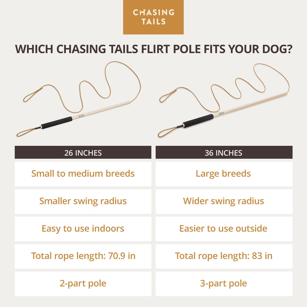 Chasing Tails flirt pole with squeaky and squeakless toys for options.