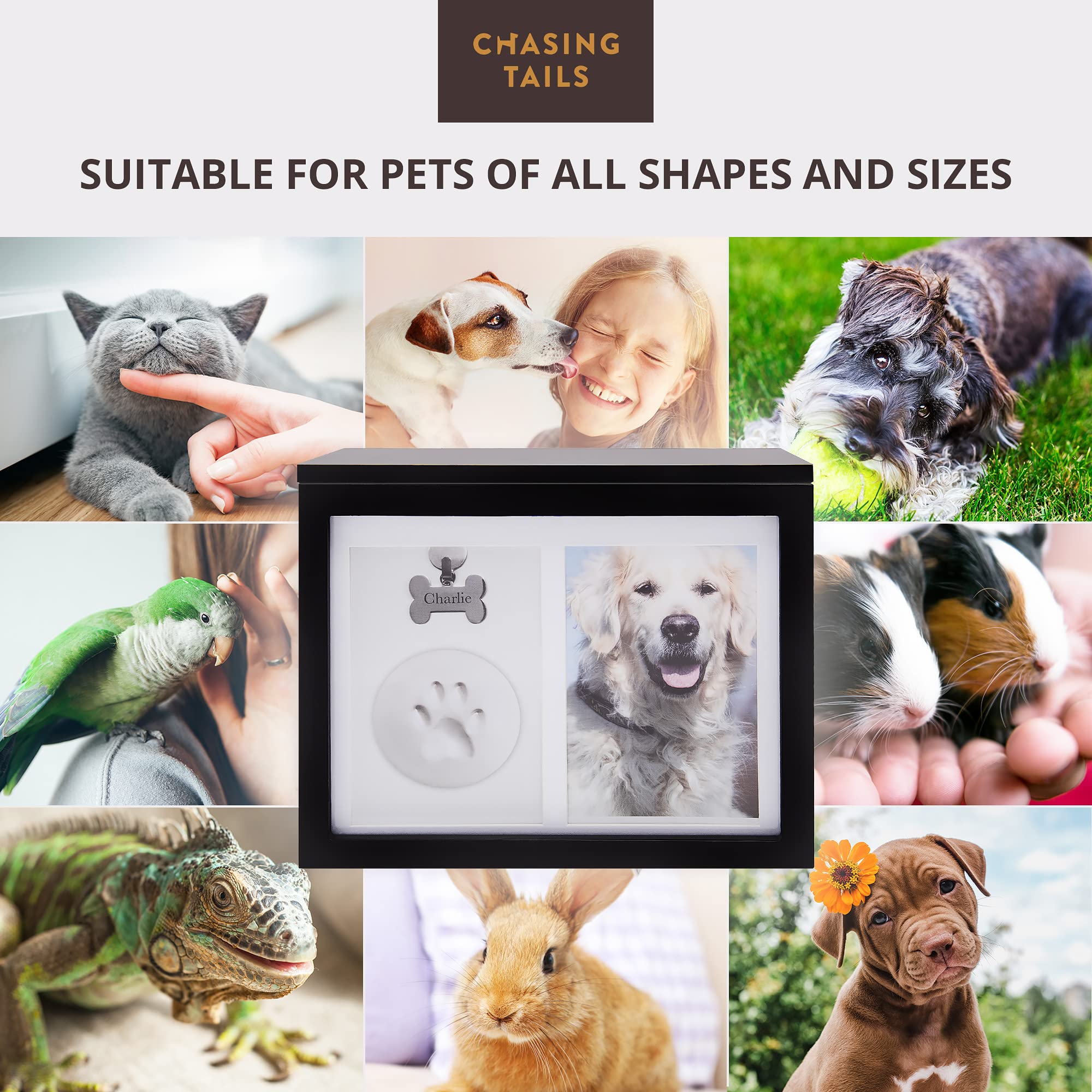 Chasing Tails photo-book inside helps organize memories in a timeless keepsake.