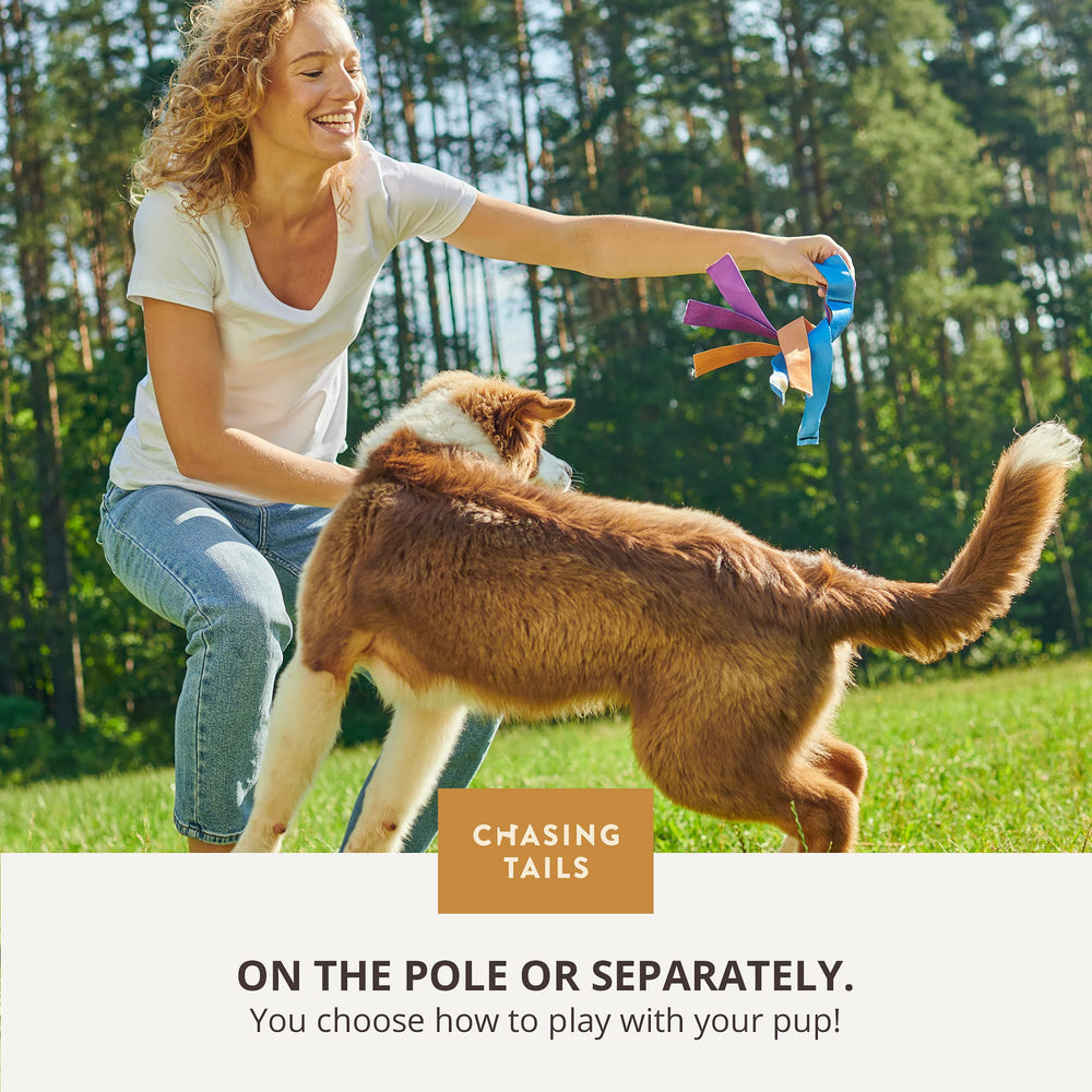Chasing Tails Training Guide provides safety tips and commands