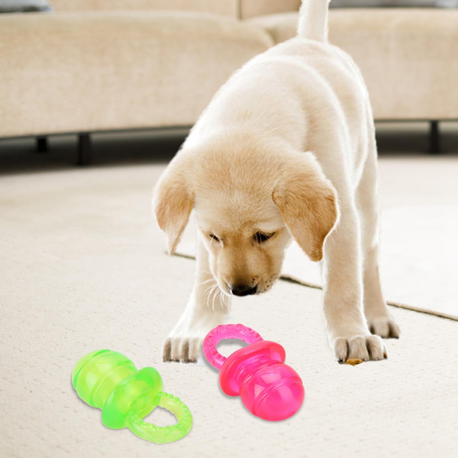 Chazcool puppy pacifier sound-enabled toy sparks pet interaction