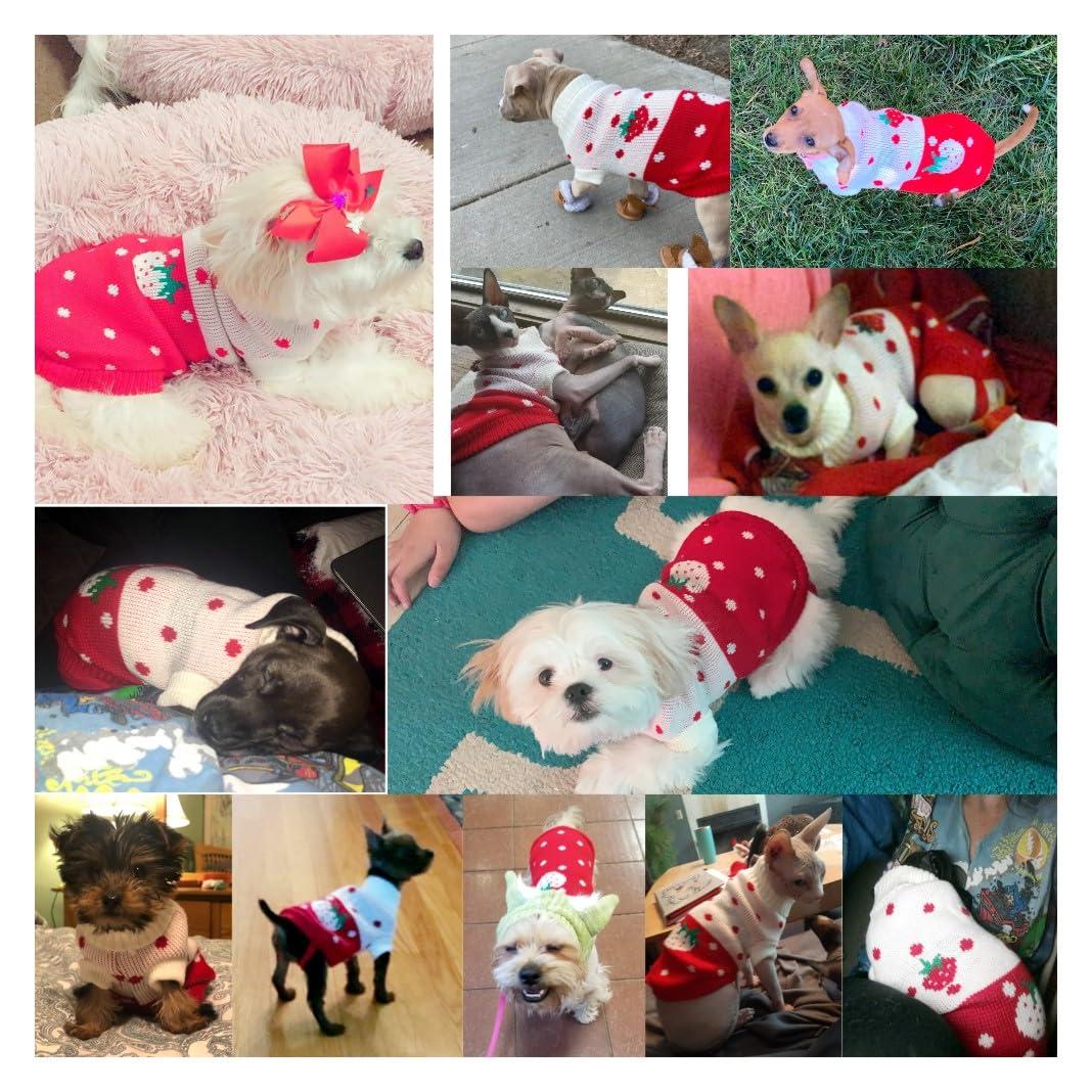 CHBORCHICEN Christmas inspired dog sweater complements holiday outfits and photos