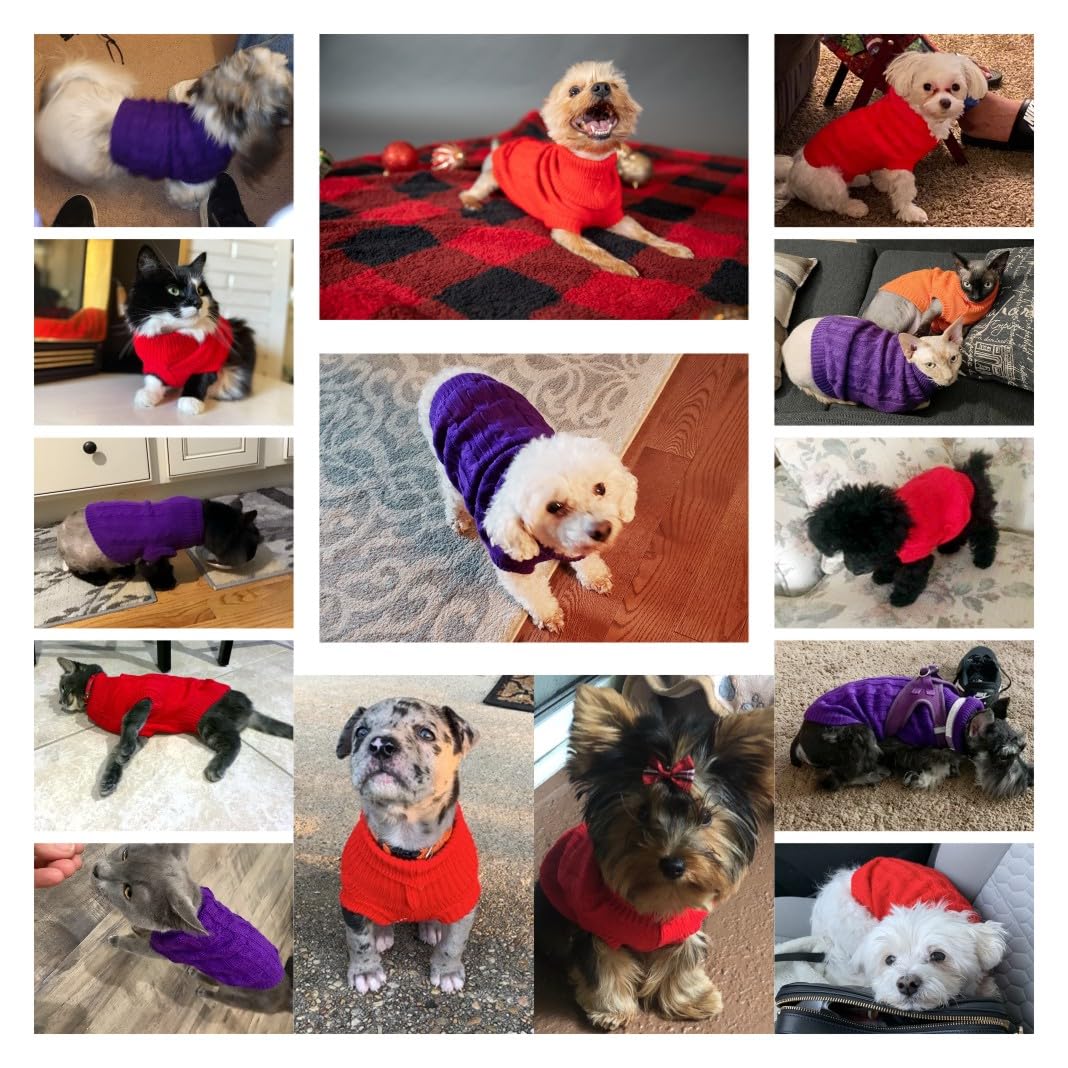 CHBORCHICEN pet clothes winter outerwear showcases warmth and cuteness for tiny companions