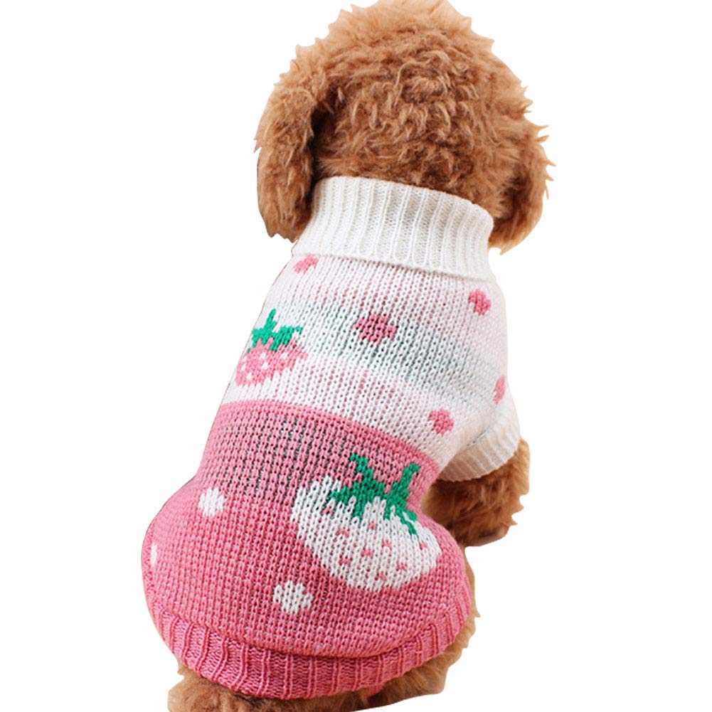 CHBORCHICEN pink strawberry heart dog sweater showcases cozy winter warmth during walks.