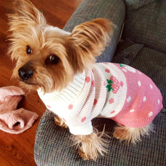 CHBORCHICEN woolen texture close-up highlights soft fabric for small dogs.