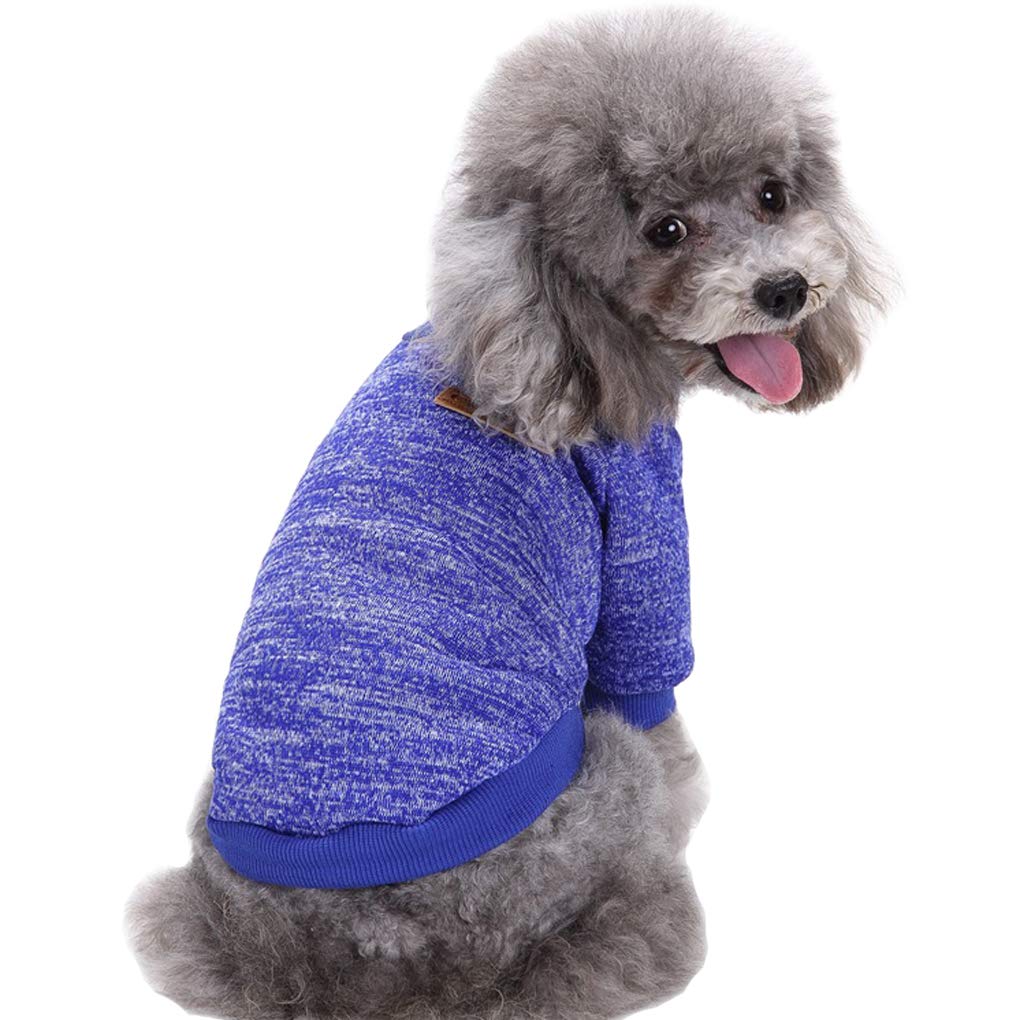 CHBORLESS dog sweater back view highlights snug fit for winter warmth