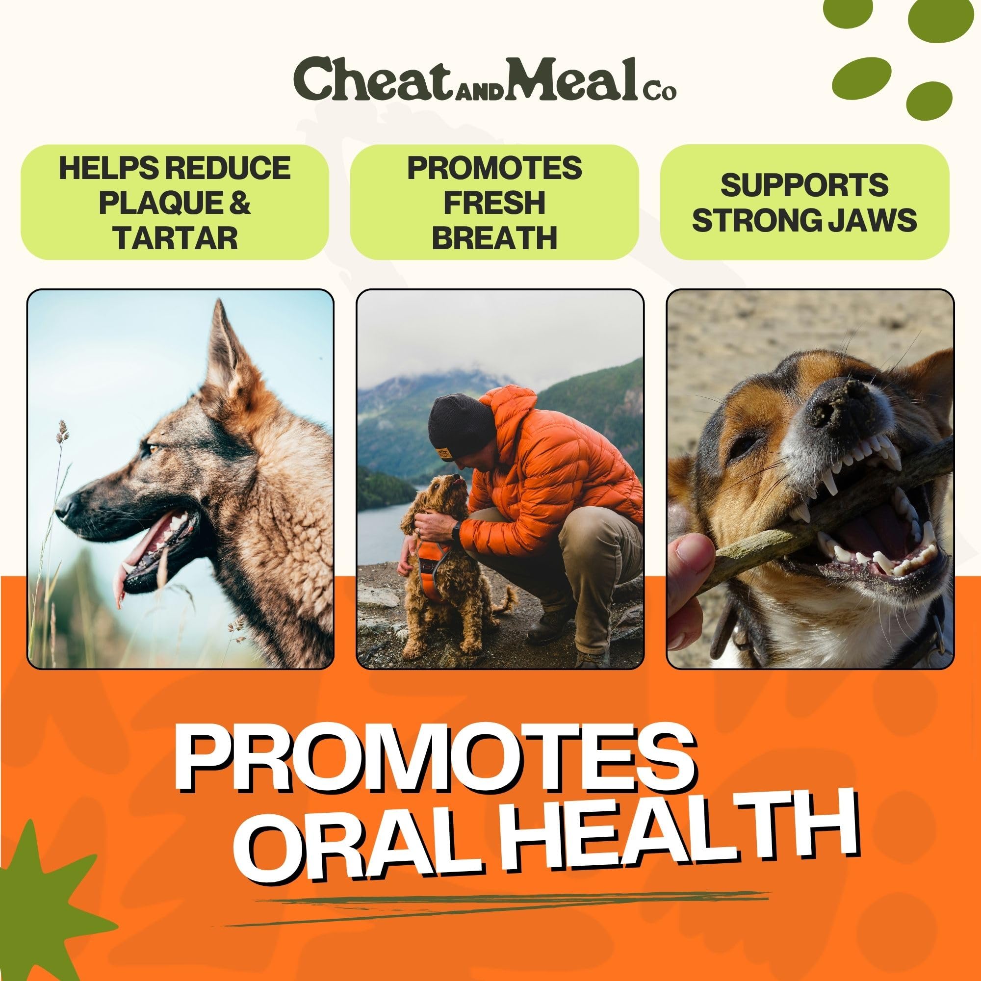 Cheat and Meal Co long-lasting chew designed for aggressive chewers in action.