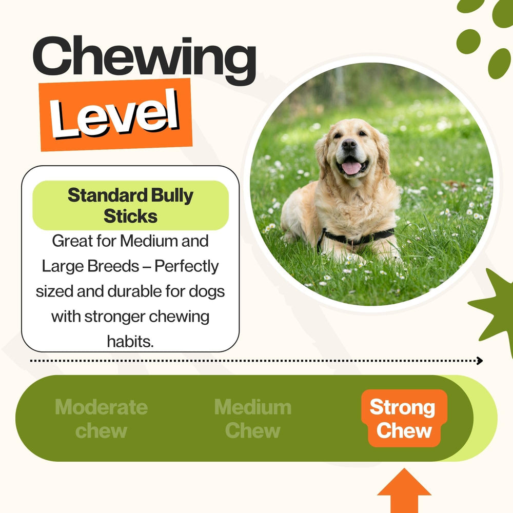 Cheat and Meal Co chew designed for medium and large dogs during play and training.