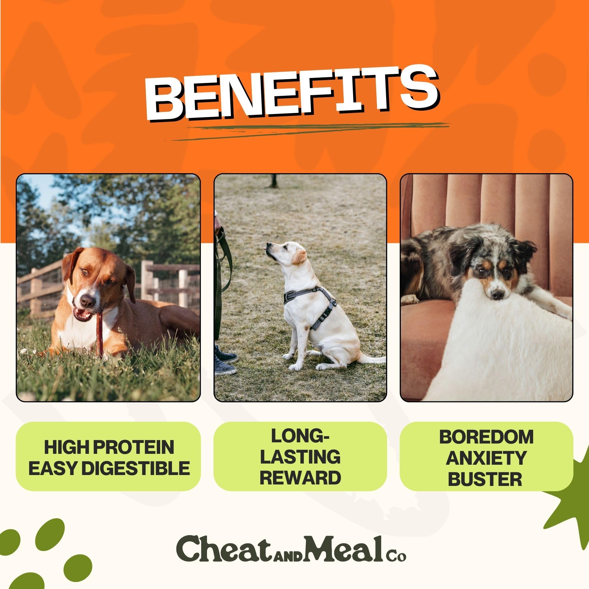 Cheat and Meal Co rawhide-free dog chew demonstrates safe, digestible snack.