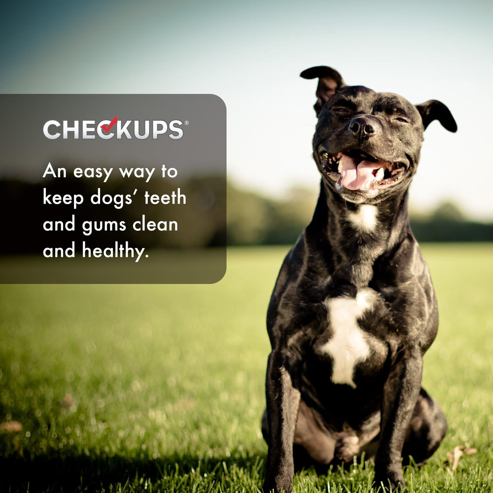 Checkups dental dog treats ingredient list closeup with wholesome components