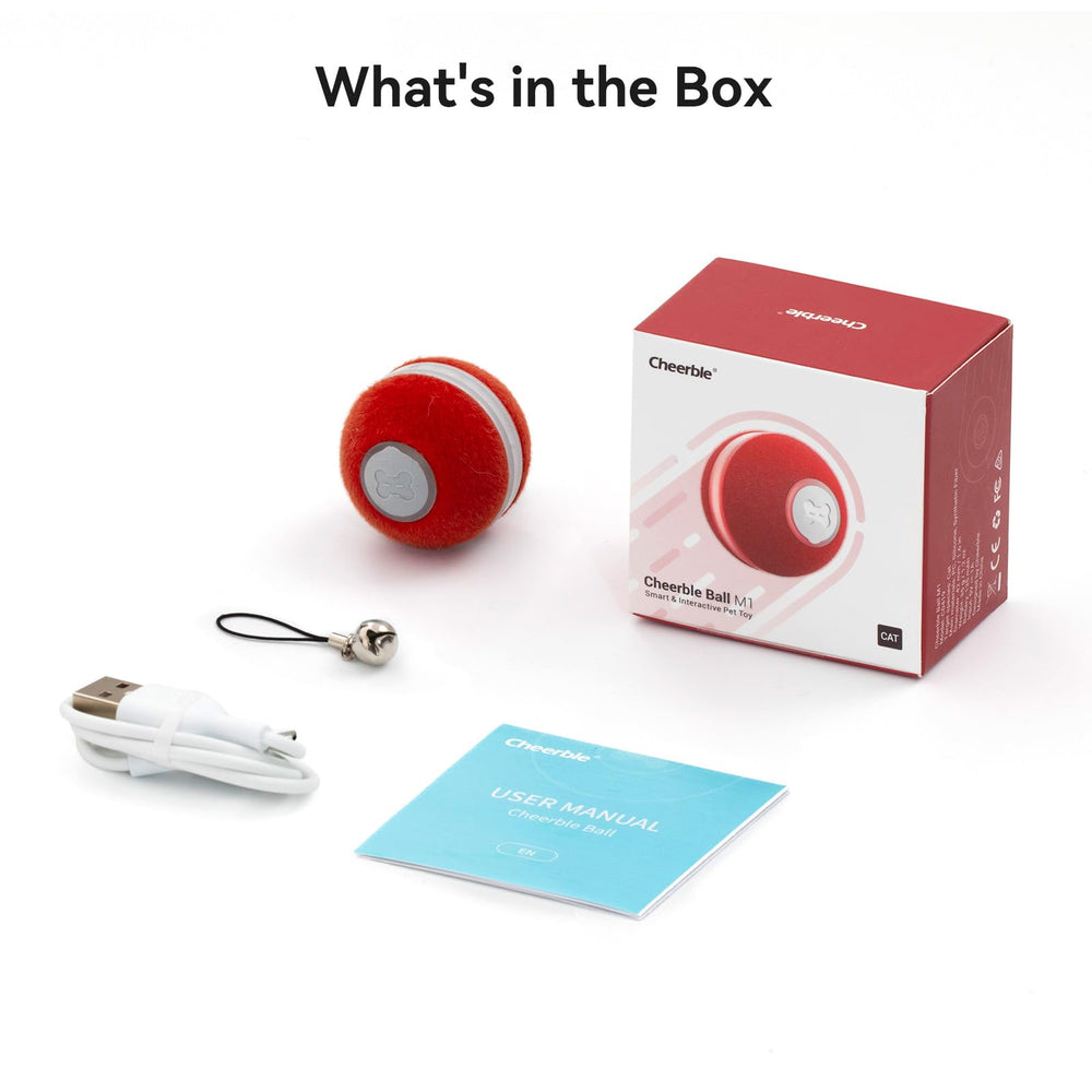 Cheerble Cat Ball Toy on hard floors suited for indoor playtime.