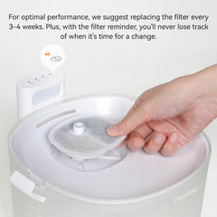 Cheerble Elfin Fountain MagDrive technology delivers quiet, reliable operation.