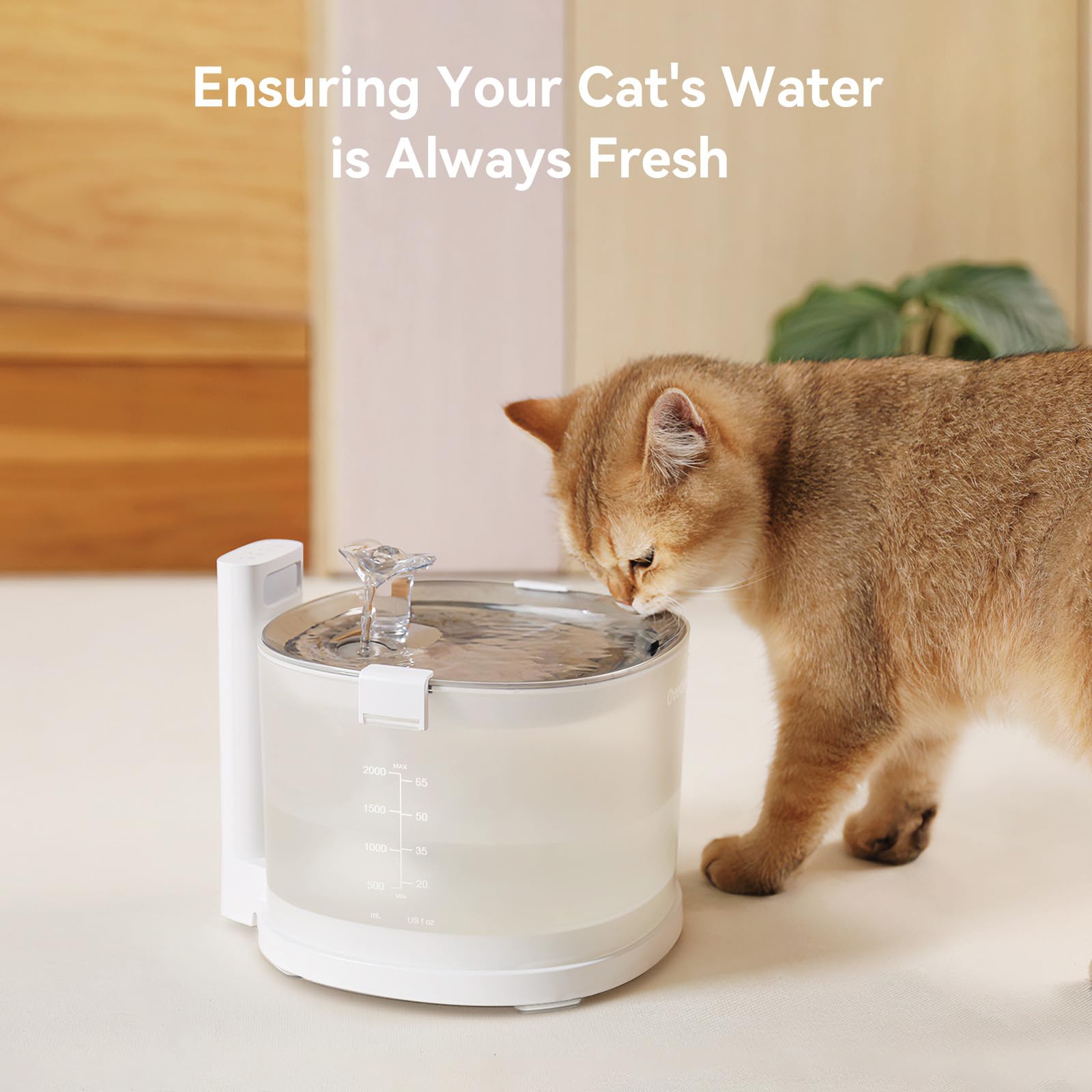 Cheerble Elfin Fountain stainless steel tray simplifies cleaning and durability.