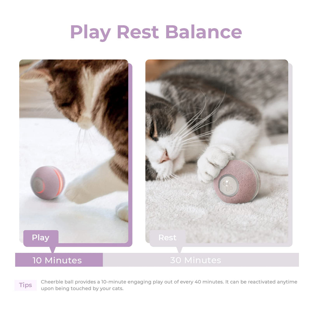 Cheerble interactive cat ball toy 1.7-inch diameter fits small cats and kittens