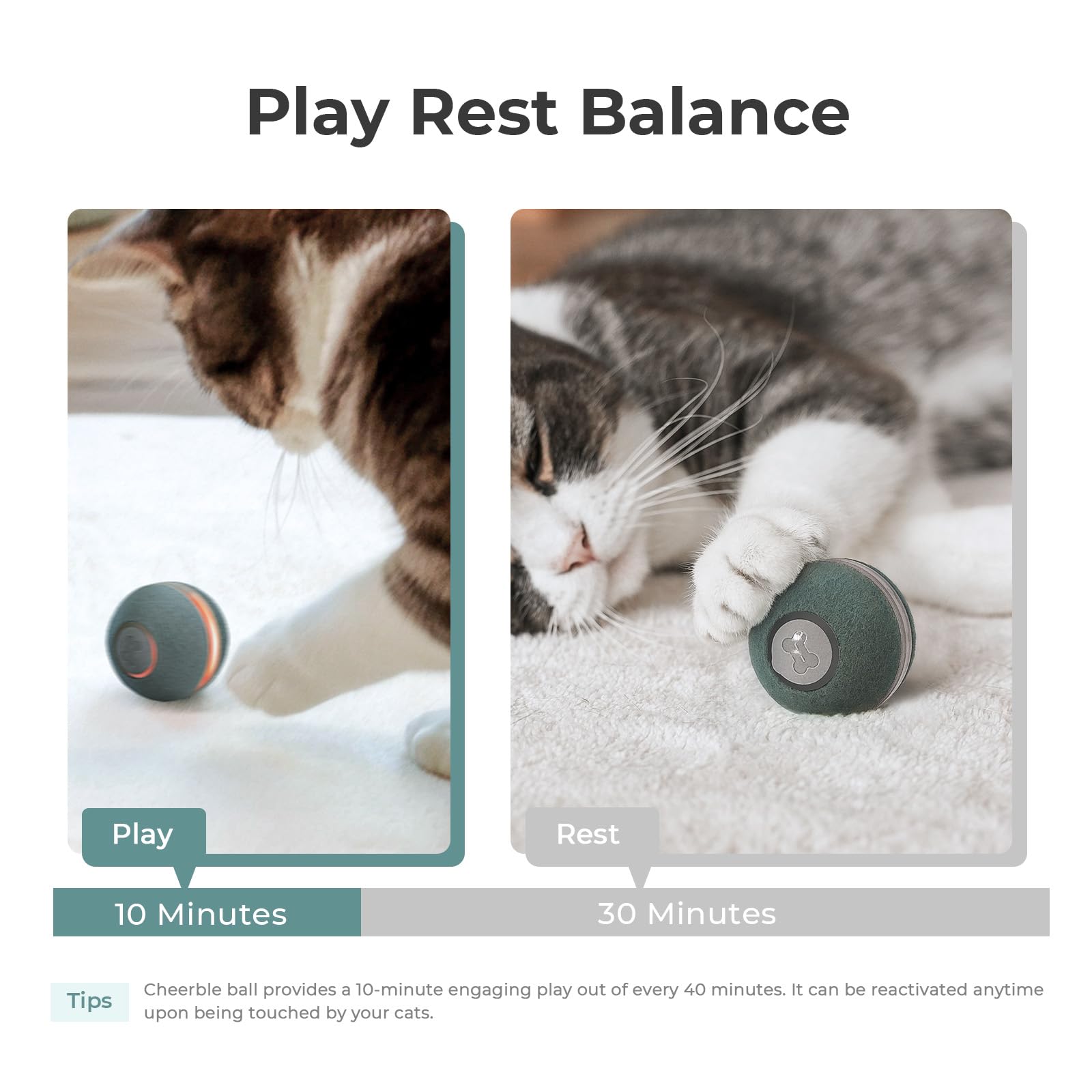 Cheerble Interactive Cat Ball Toy provides three play modes for versatile cats