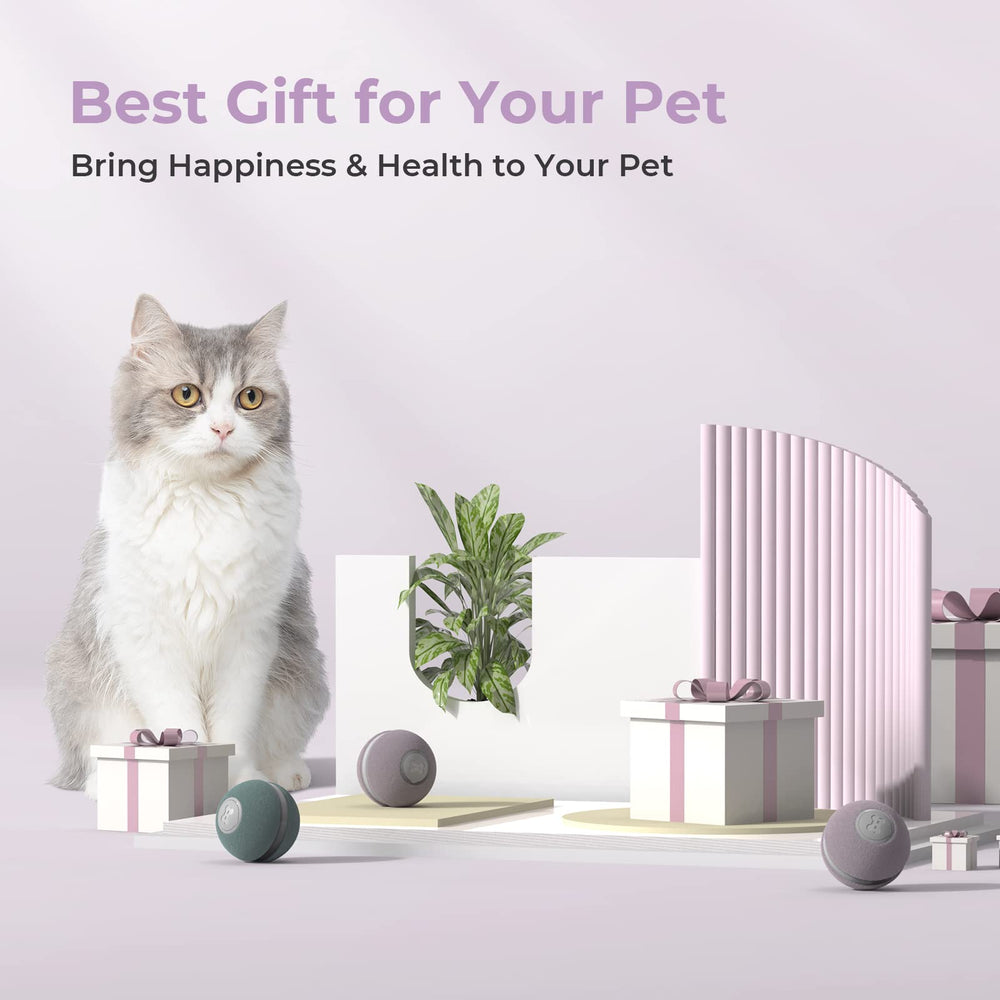 Cheerble interactive cat ball toy auto pause promotes calm play sessions