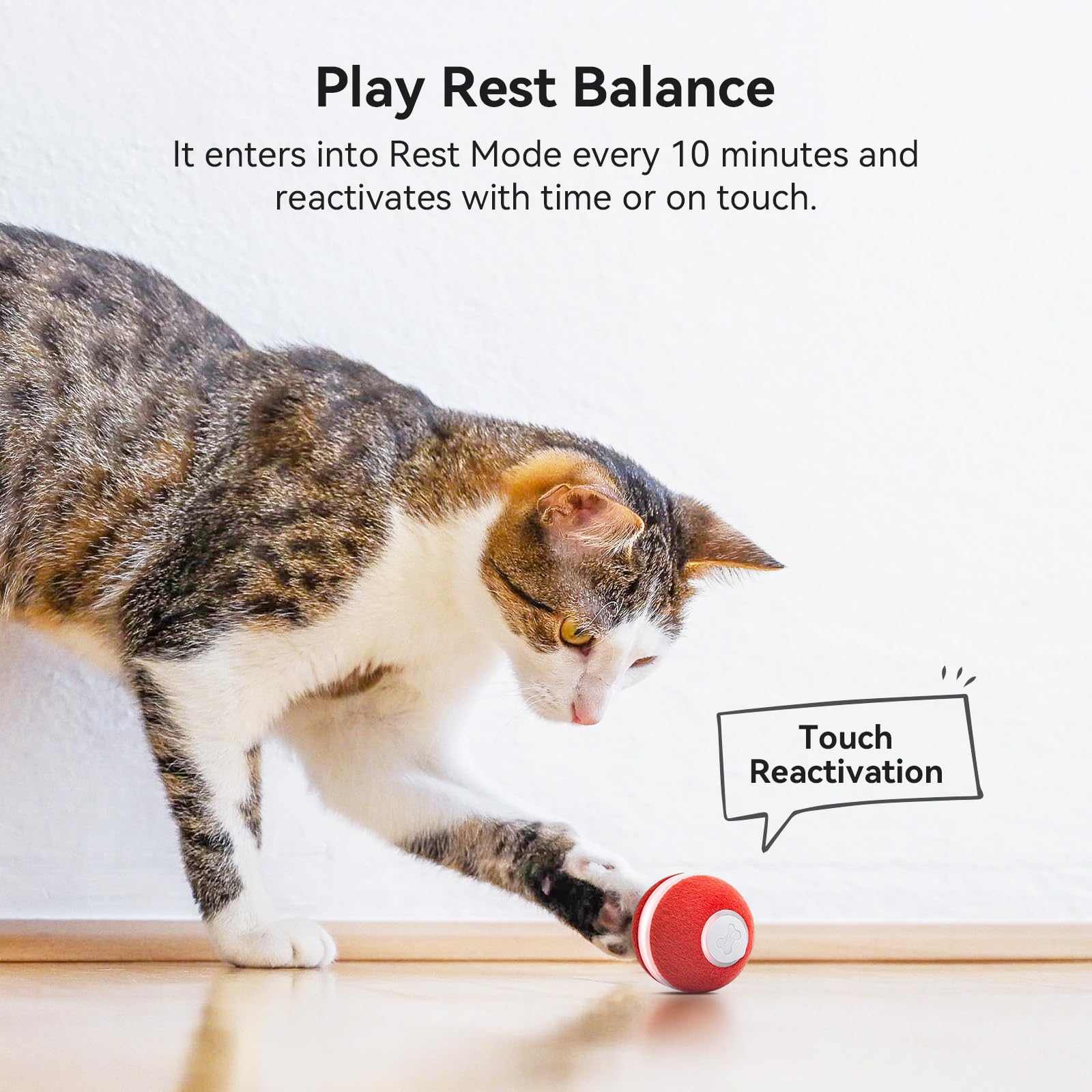 Cheerble Interactive Cat Ball Toy with bell feature enhances interactive sound appeal.