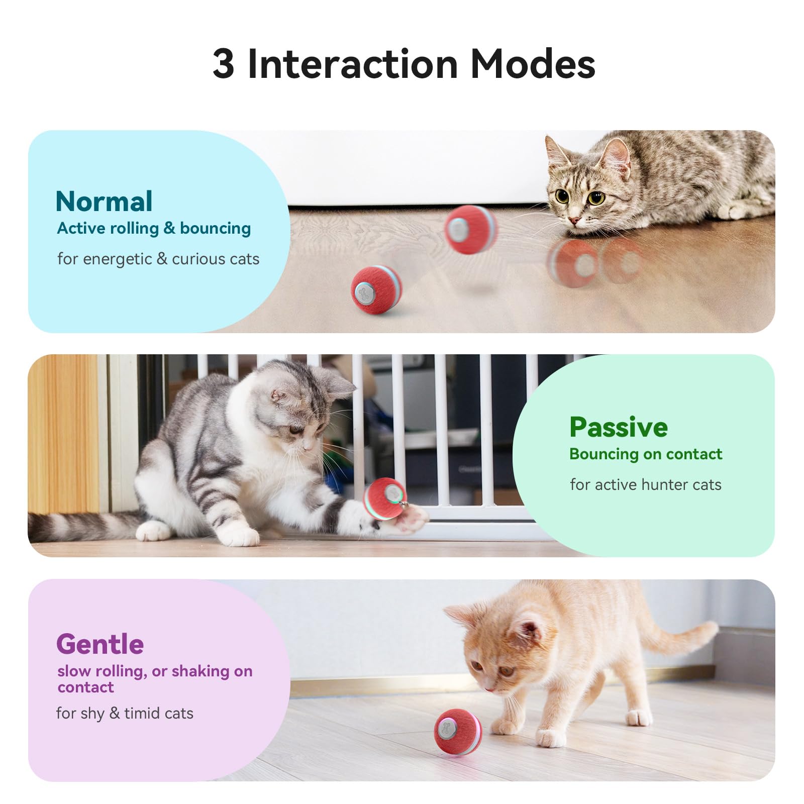 Cheerble Interactive Cat Ball Toy with LED lights sparks chase and light-driven play.