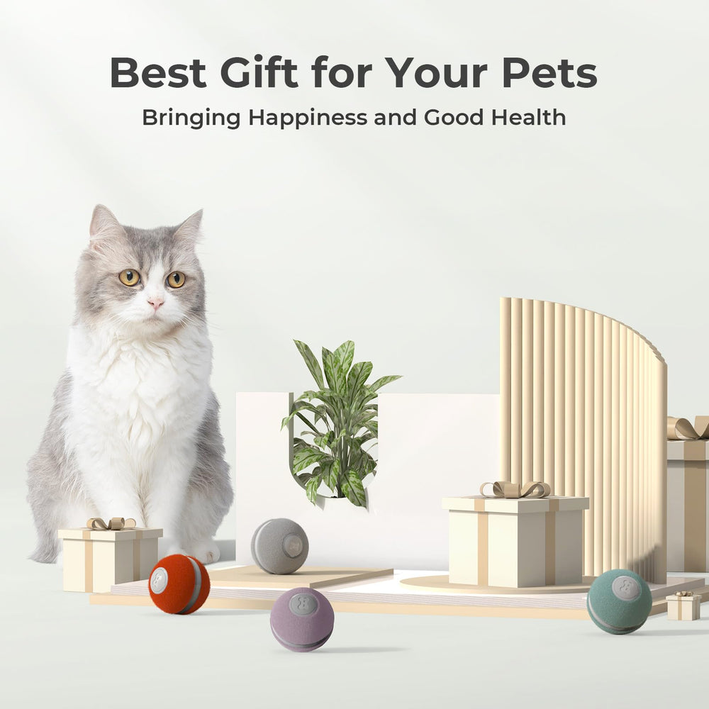 Cheerble cat ball recharges with the included charging cable