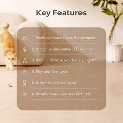 Cheerble Interactive Cat Toy motion sensor demonstrates unpredictable movement for engaging play sessions.