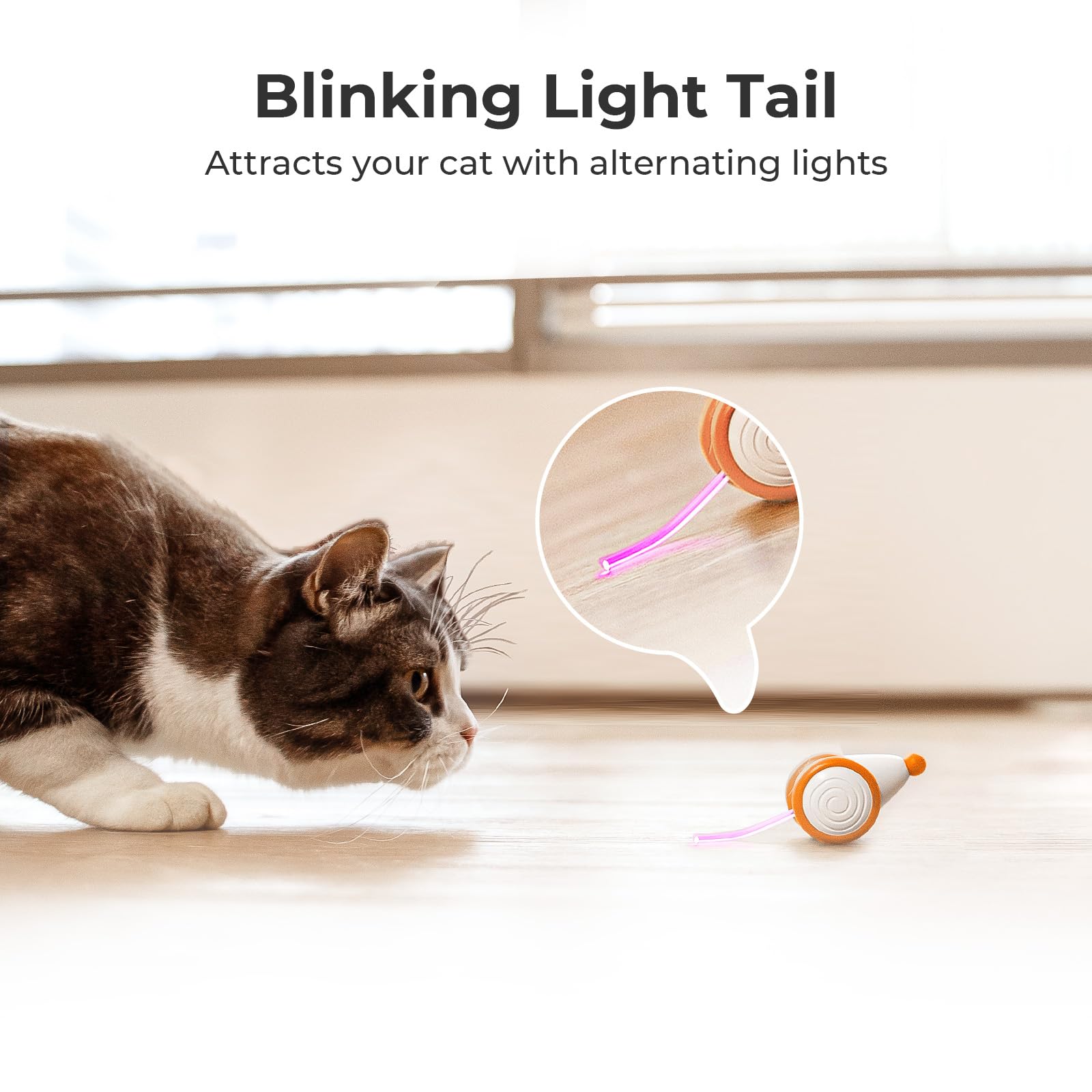 Cheerble USB Rechargeable Cat Toy keeps charging simple and battery-free for longer play.