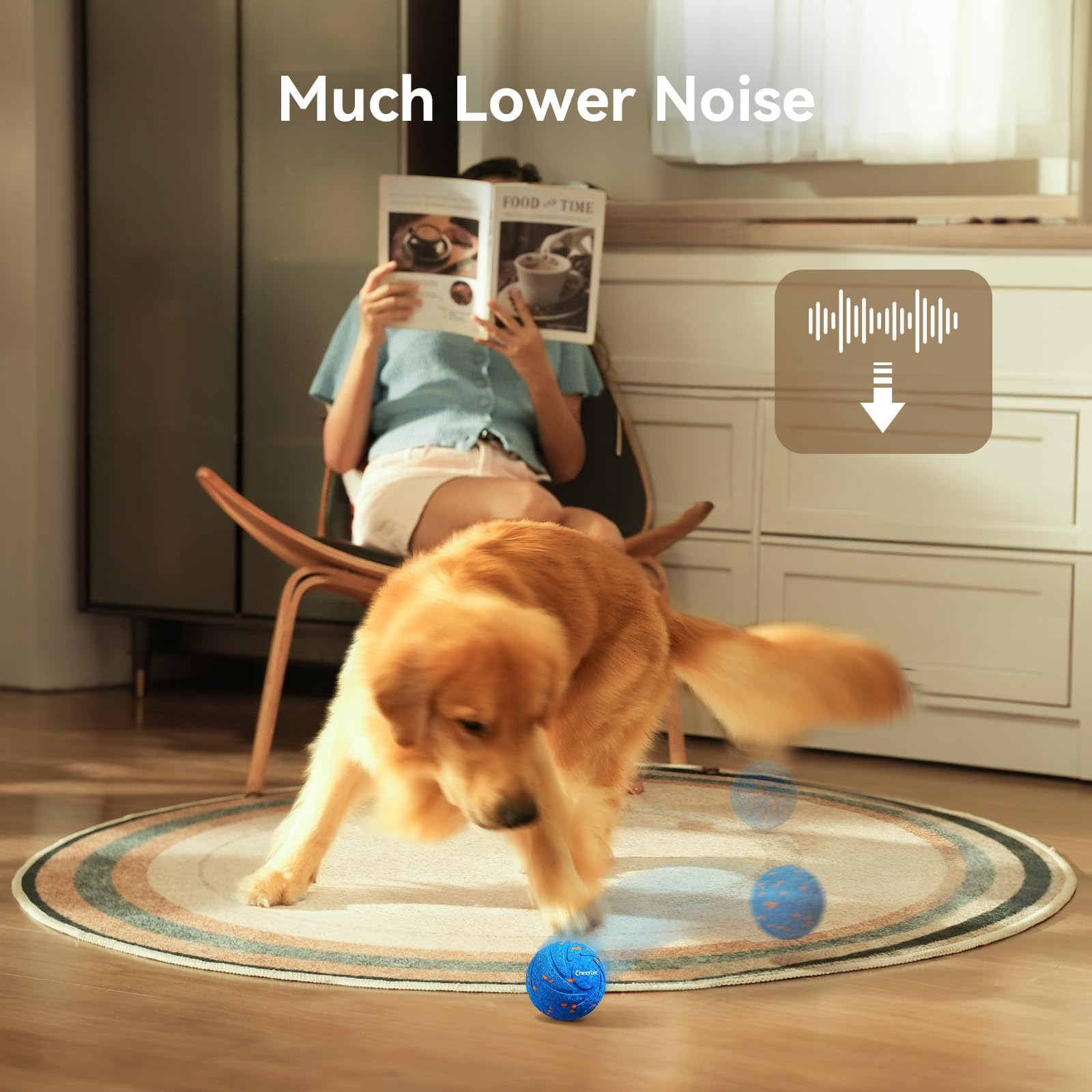 Cheerble Wicked Ball Air dog play scene highlights interactive fun