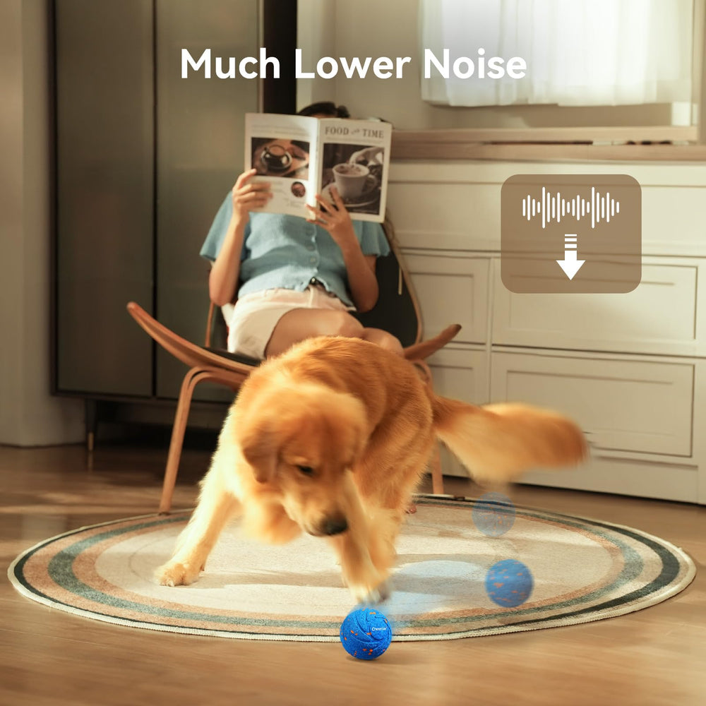 Cheerble Wicked Ball Air dog play scene highlights interactive fun