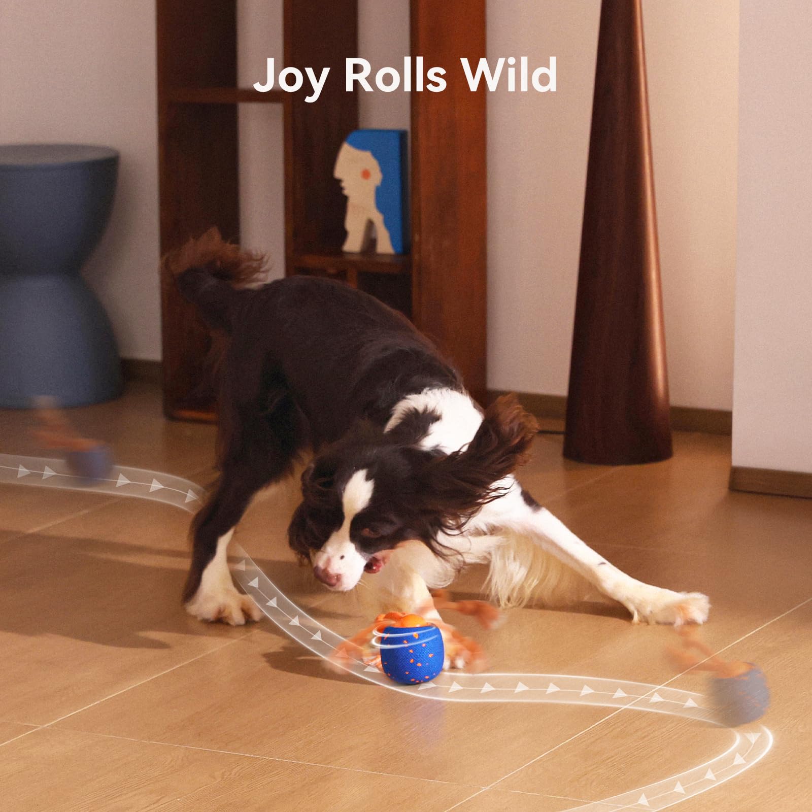 Cheerble Wicked Ball Rolly dog chasing motion scene
