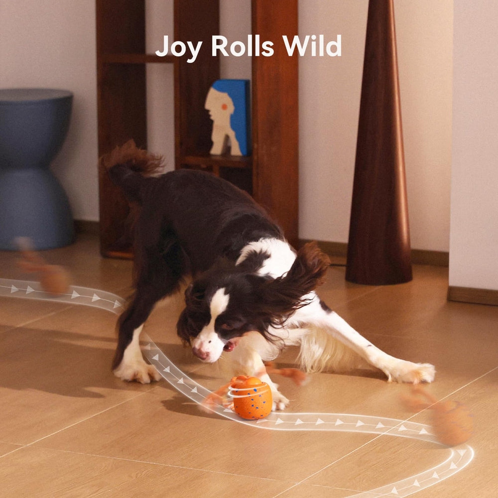 Cheerble Wicked Ball Rolly interactive toy promotes mental engagement