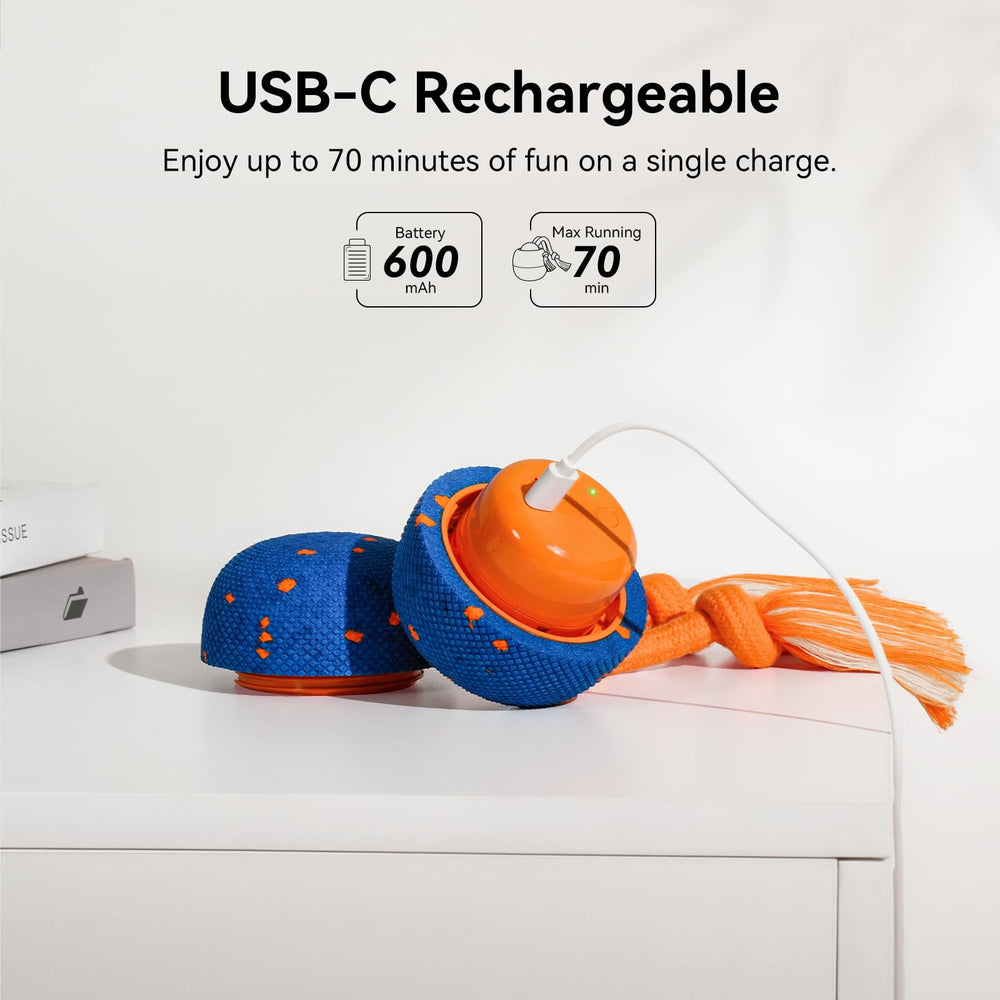 Cheerble Wicked Ball Rolly play-rest cycle in action