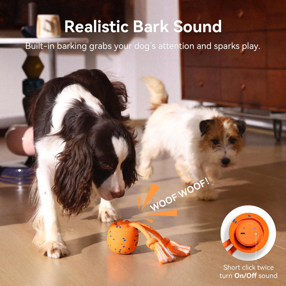 Cheerble Wicked Ball Rolly play-rest cycle supports balanced activity